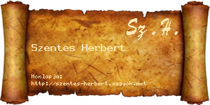 Szentes Herbert névjegykártya